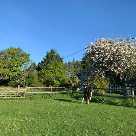 Gite Le Bonheur Est Dans Le Pre Saint-Pierre-Des-Ifs (Calvados) Exterior foto