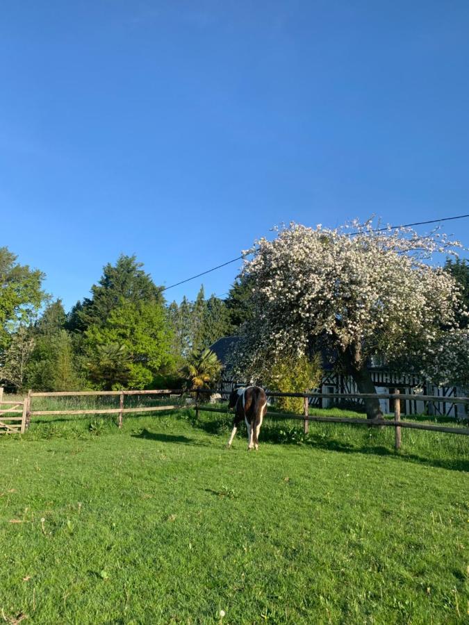 Gite Le Bonheur Est Dans Le Pre Saint-Pierre-Des-Ifs (Calvados) Exterior foto